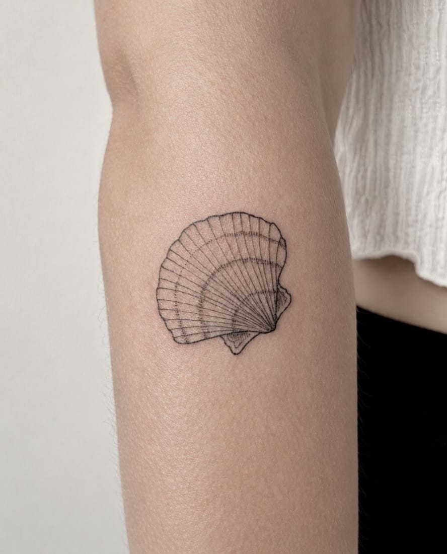 Fine line scallop seashell tattoo by an Essex Fine Line Tattoo Academy student